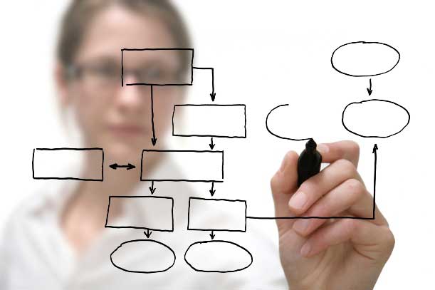 Website Design Program